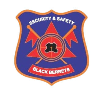 BLACK BERRETS Logo